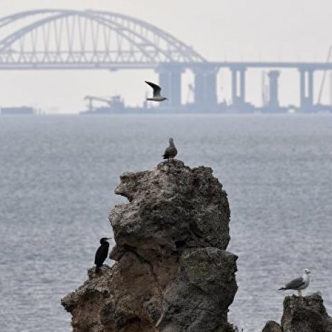 Лавров озвучил условие прохода кораблей ВМС Украины через Керченский пролив  